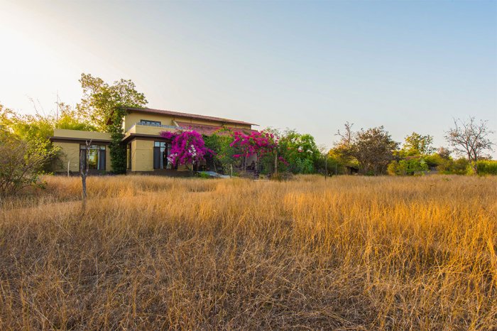 Lodge corazón milenaria