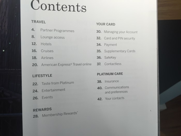 American express platinum hotel